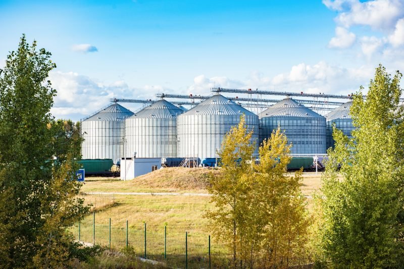 Silver silos on agro manufacturing plant for processing drying cleaning Silver silos on agro manufacturing plant for processing drying cleaning